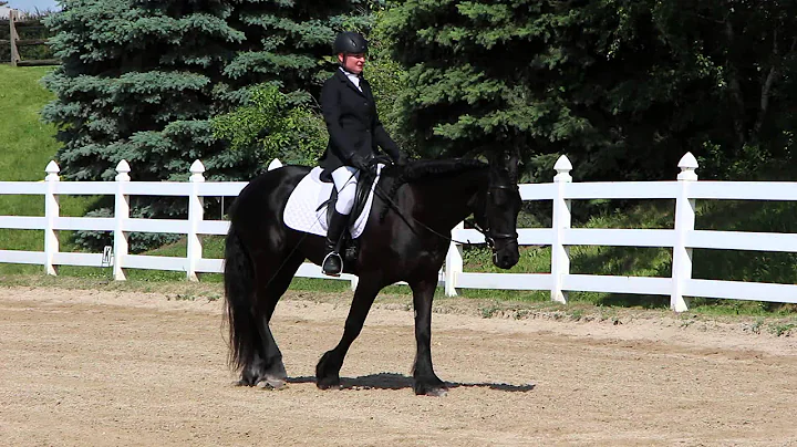 Rachel and Bridgett, Training level 1, June 2014