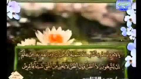 سورة النجم الشيخ عمر القزابري