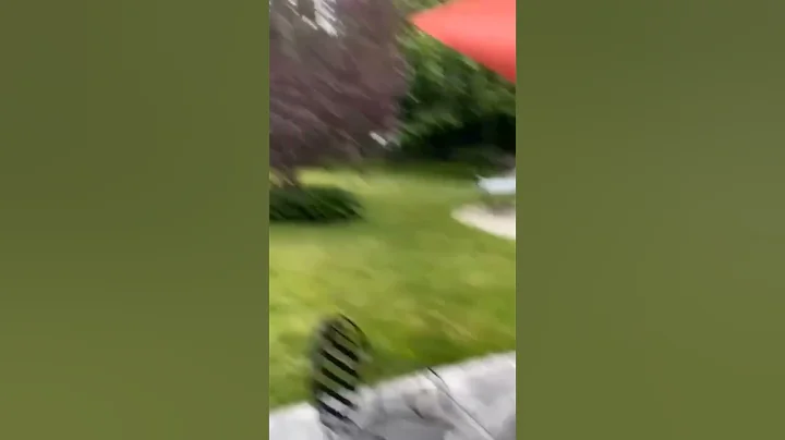 #funny #lol #lmao #lmfao #hilarious #laugh #laughing #tweegram #fun #friends