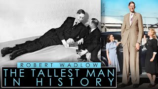 Robert Wadlow | The Tallest Man In History