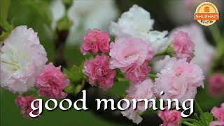 Good morning video songs for whatsapp