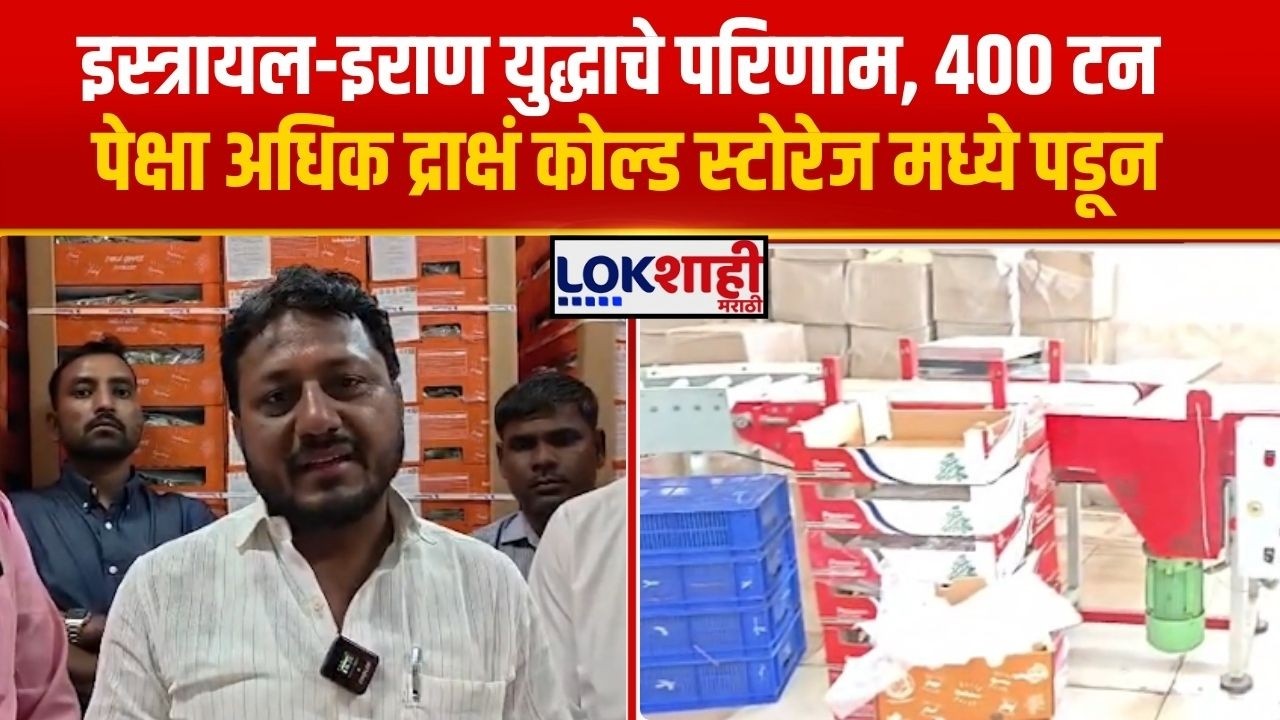 Solapur Grapes। इस्त्रायल-इराण युद्धाचे परिणाम, 400 टन पेक्षा अधिक द्राक्षं कोल्ड स्टोरेज मध्ये पडून