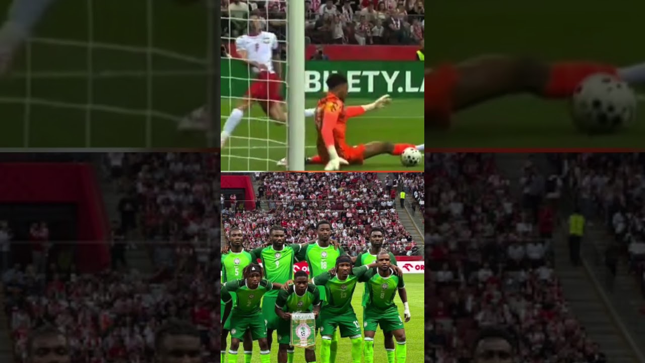 Nigerian Defender mistake