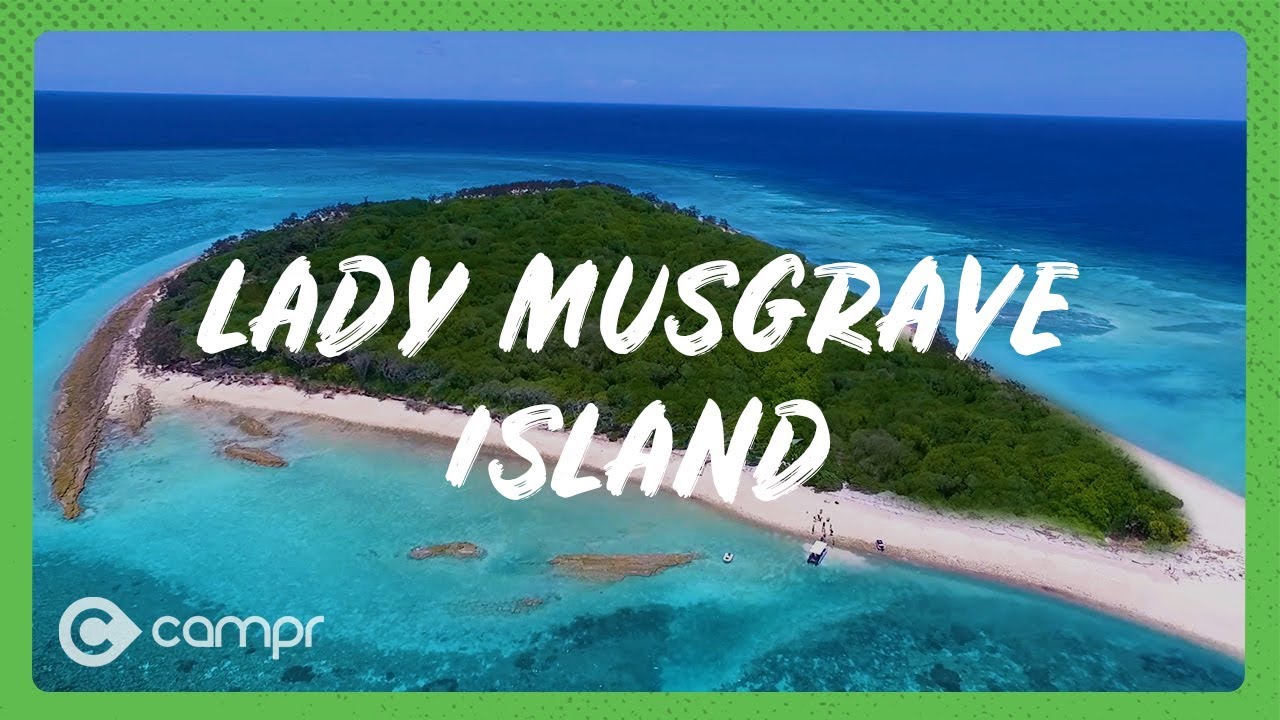 Lady Musgrave Experience YouTube