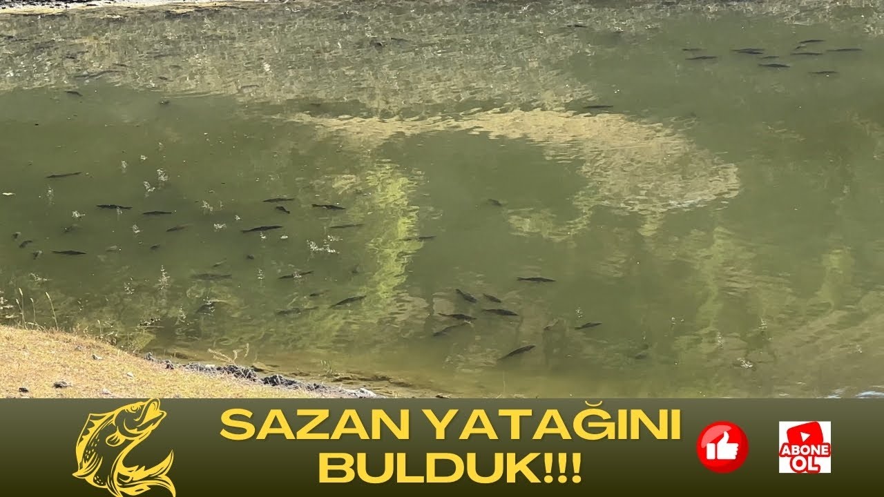 Lrf ile Perch Avı I Balık Peşinde Meraları Gezdik.