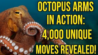 Octopus Arms in Action: 4,000 Unique Moves Revealed! Explained.
