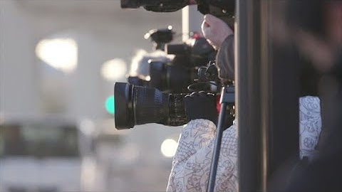 Ghosn claims to be "falsely accused" in first court appearance