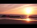 Won't Stay Down - Future Frequency