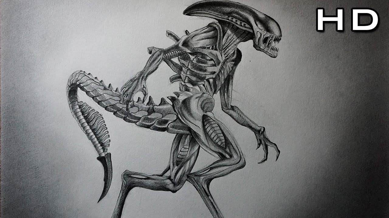 Dibujo a Lápiz de Alien Covenant Xenomorph - FanArt Prometheus 2 - thptnganamst.edu.vn