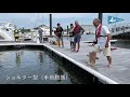 「落水実体験会」 LMYC帆走技術講習会2021〜ライフジャケットの安全性