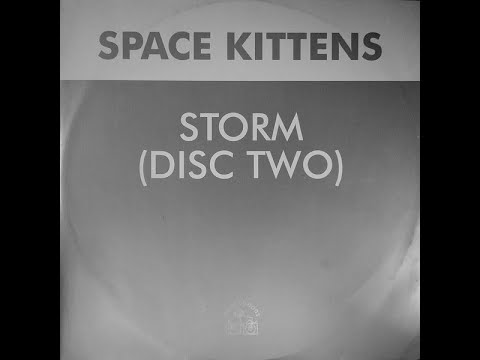 Space Kittens — Space Kittens   Storm Aquarius Mix