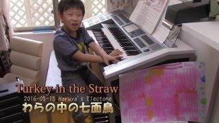 Turkey In The Straw Electone Step 4