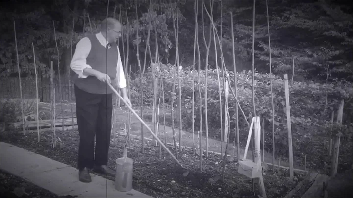 Dig for Victory Garden
