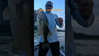 Lilypad monster on a hagsbait cheat code. #fishingreport #bassfishing