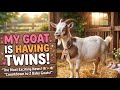 The Big Surprise: My Goat is having two baby goats😍🍼 #babygoats #petlover #MM Pet House BKR