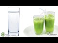 Dr  Mercola on Taking High Quality Fermented Chlorella