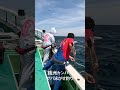 銭洲カンパチ!サバ泳がせ釣り!2026年5月5日