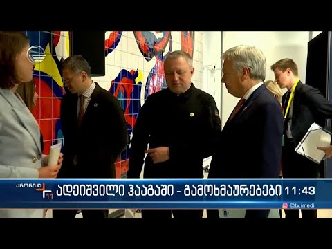 ზურაბ ადეიშვილი ჰააგაში გადამალეს