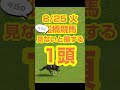 【今日の競馬予想】8月25日、火曜日の船橋競馬の最強本命予想 #競馬 #地方競馬予想 #競馬予想 #船橋競馬