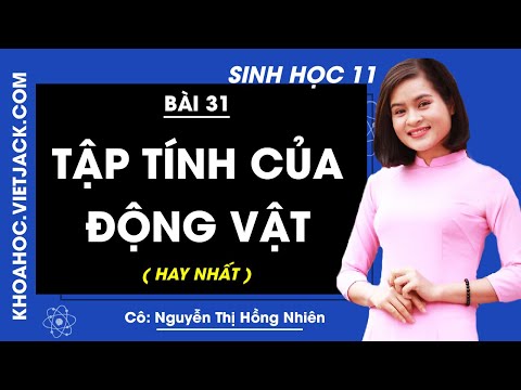 Video Sinh học 11 - Bài 31 - Tập tính của động vật - Cô... - YouTube