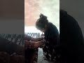 i day my life is hard #minivlog#shorts