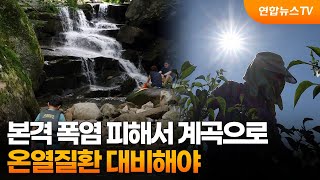 본격 폭염 피해서 계곡으로…온열질환 대비해야 / 연합뉴스TV (YonhapnewsTV)