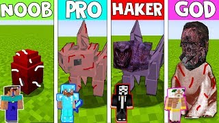 Minecraft NOOB vs PRO vs HACKER vs GOD: CORPSE LIGHT FURY in Minecraft! HOW TO TRAIN YOUR DRAGON