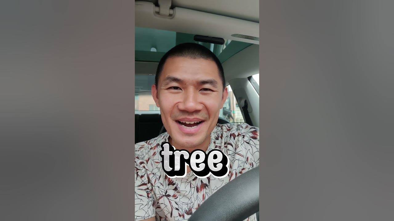 how do you say "tree" in Vietnamese? learningvietnamese YouTube