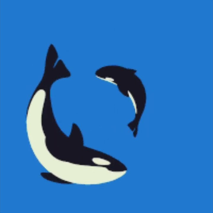 Косатка⚫️⚪️🐬 - YouTube