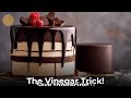 Dark Chocolate Cake: The Vinegar Secret