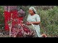 Omo odo agba bimbo oshin  full nigerian latest yoruba movie