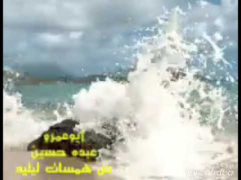 هانى شاكر يا قلبى دبل زهرة الحب ف طريقى