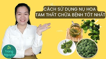 Nụ hoa tam thất uống nhiều có gây nóng trong người hay không? | Dược Liệu | Dược Sĩ Trang Nguyễn