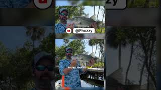 👉 Why is this Florida fish so popular? 🌴🎣
