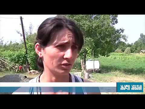 სოფელ ქვეშიდან რუსმა სამხედროებმა ალექსანდრე შავერდაშვილი გაიტაცეს 4.08.2016