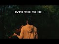 Joel sunny  into the woods official music