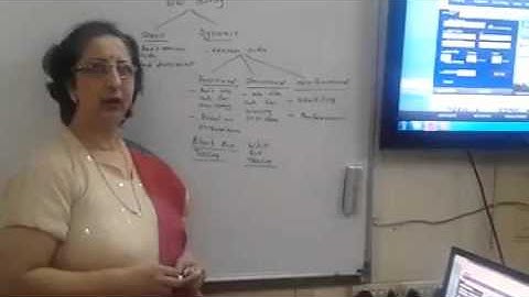 Software Testing Video By Impetus Consultrainers