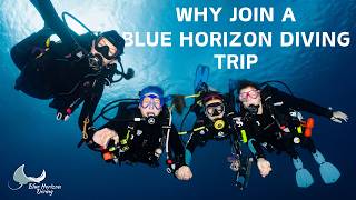 Why You Should Join A Blue Horizon Diving Trip