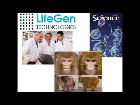 Video What is ageLOC Y Span (Youthspan, Youth Span) - youtube