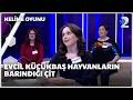 Evcil küçükbaş hayvanların barındığı çit | Kelime Oyunu