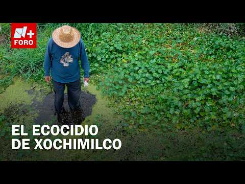 Xochimilco in crisis: The battle to save the chinampas
