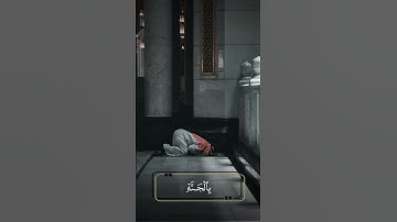 من سورة فصلت | القارئ عبدالله القرافي