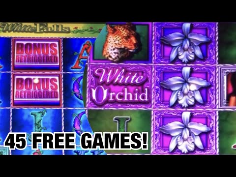 Unlock Exciting Perks with White Lotus Casino's No Deposit Bonus - Play Online in South Africa