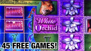 White Orchid Slot Machine 🌸 Bonus @ $12.00 Bet 45 Free Games! Awesome WIN!! 👍👍😁🎰✅🤩