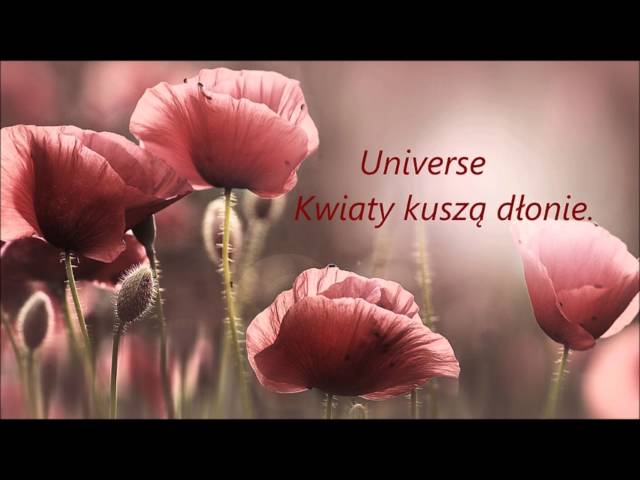 Universe - Kwiaty kusza dlonie