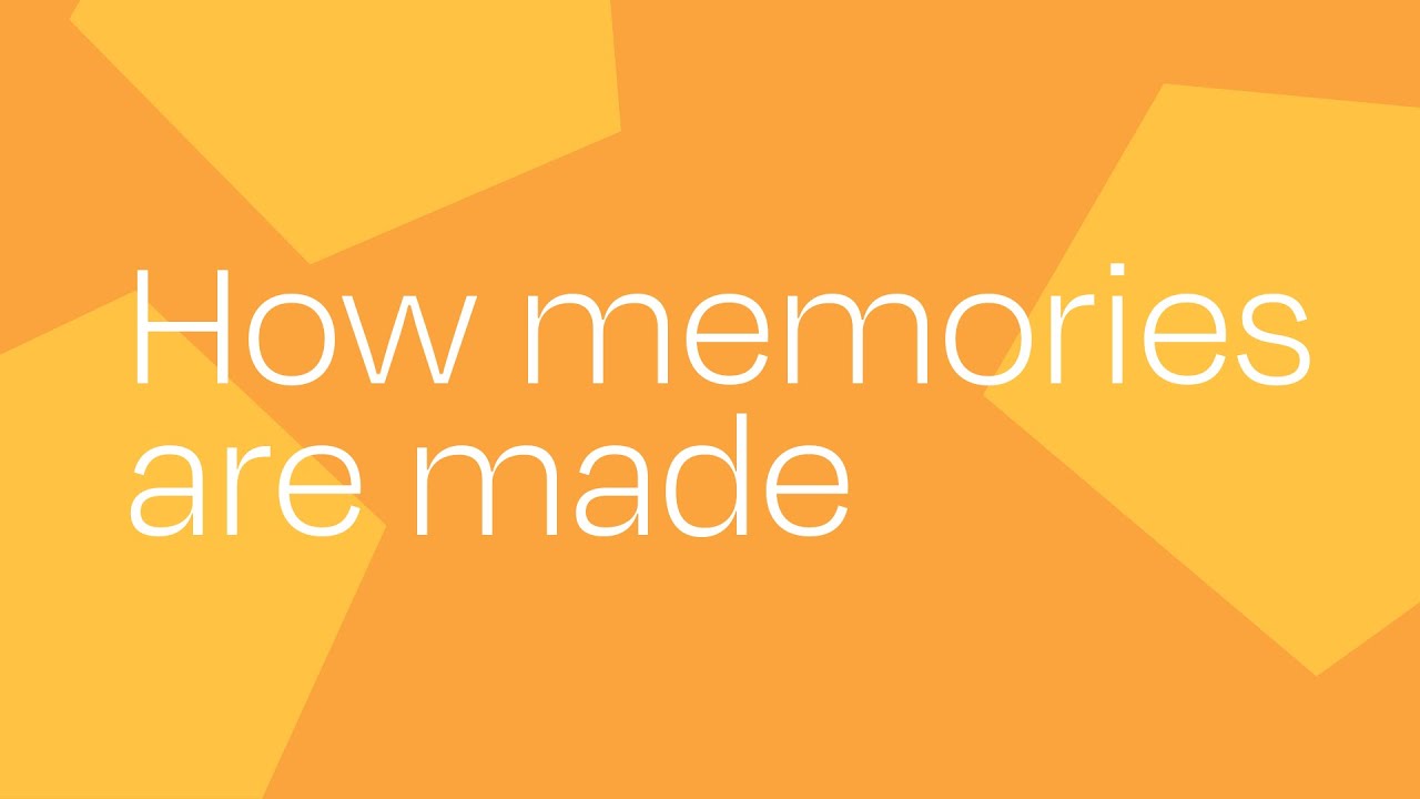 How Memories Are Made