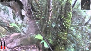 1050328都蘭山探勘行6-5