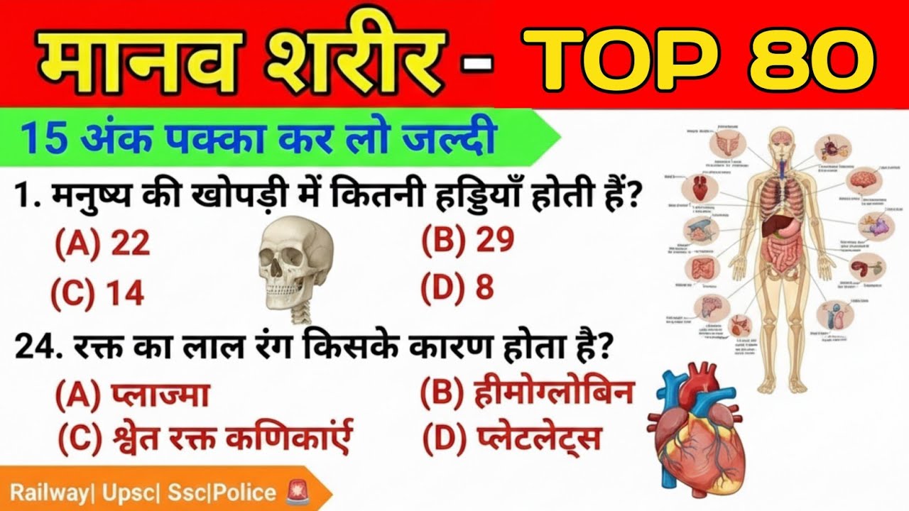 Human Body Top 80 GK Questions | मानव शरीर के 80 महत्वपूर्ण प्रश्न | SSC GD, Group D, Railway