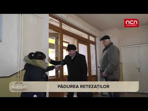 ANCHETA SAPTAMANII - Padurea retezatilor