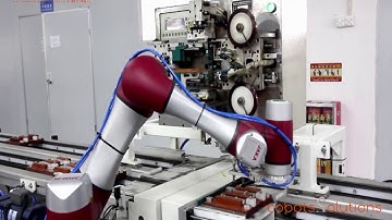 Cobots-Solutions JAKA Pick and Place